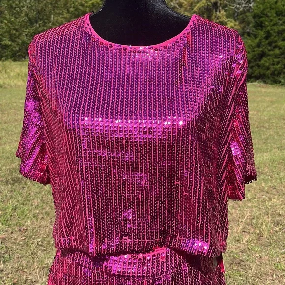 Buddy love x Raelynn 2 piece Laura sequin set. Merlot. Size medium. NWT! - Picture 2 of 6